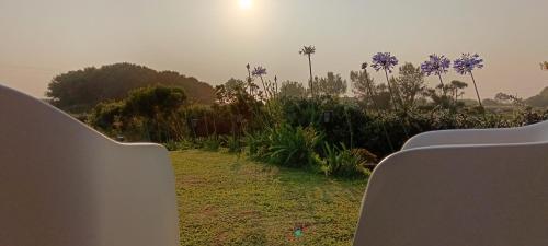 สวน, Moimenta Guest House in วิลลา โด คอนเด