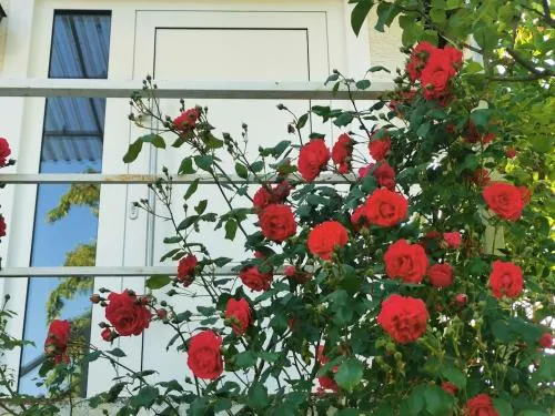 Casa Wilhelm in Seeheim-Jugenheim, Deutschland