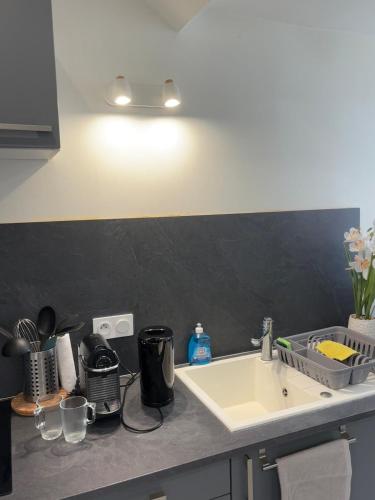 Kitchen, Charming Plant Studio in Other