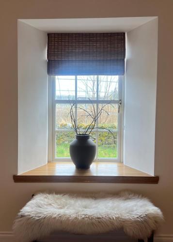 Unwind at our berry farm, Blairgowrie (fotografie 2)