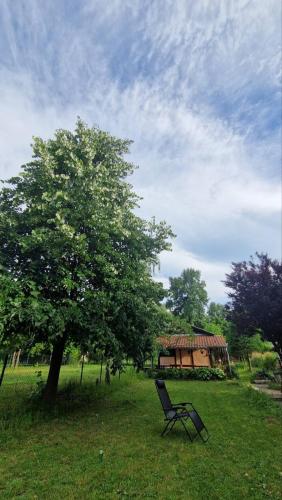 花園, Kuca Garic in 大格拉迪斯泰