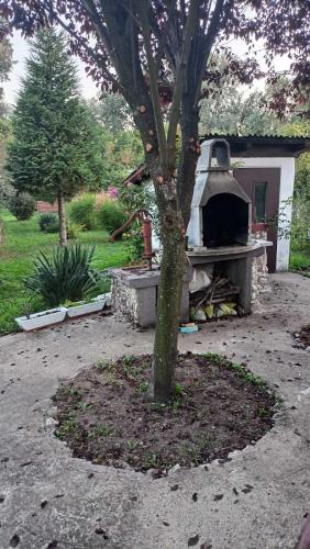 花園, Kuca Garic in 大格拉迪斯泰