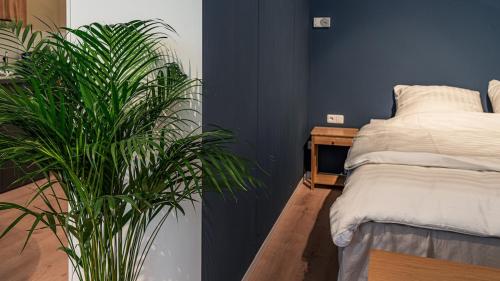 Modern Studio Apartment, Berlino (foto 2)