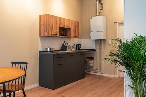 Modern Studio Apartment, Berlino (foto 4)