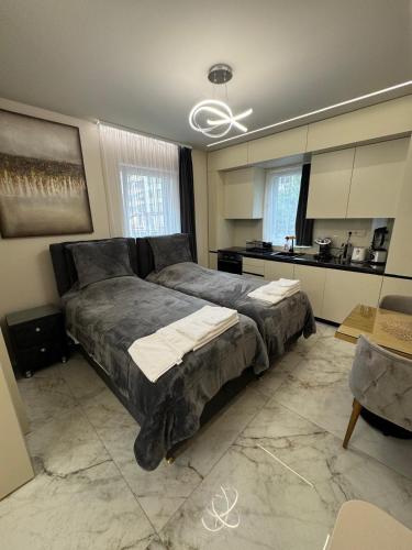 Luxurious House with Deluxe rooms & Free Secured Parking, Sofia (photo 9)
