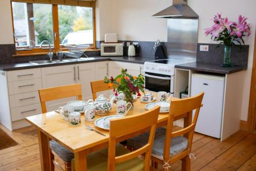 virtuve, Owls Roost Eco Lodge Apartment Lampeter in Lanfeira Klaidogau