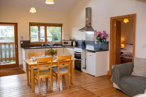 virtuve, Owls Roost Eco Lodge Apartment Lampeter in Lanfeira Klaidogau