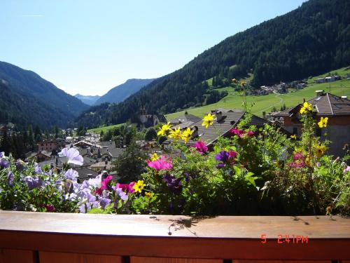 Hotel Stella Alpina 5