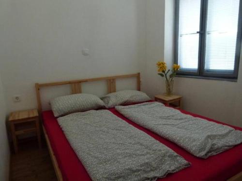 Soča House Tolmin