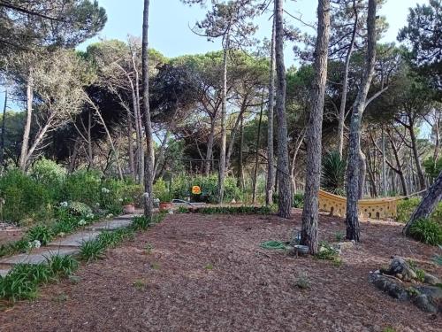 Uitzicht, Casa da Âncora (Casa da Ancora) in Colares