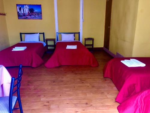 Holidays Hostel Arequipa - image 3
