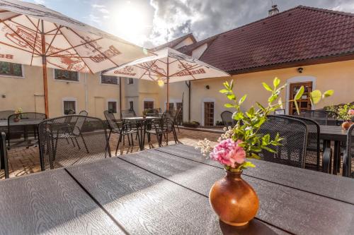 外部景觀, Pension U Lípy (Pension U Lipy) in 比斯特雷