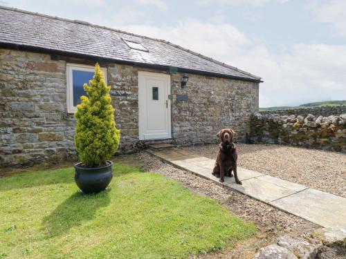 Gallow Law Cottage - image 12
