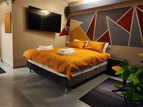 Base apartments ap 204 - Capital region of Reykjavík (Base apartments ap 204 - Capital region of Reykjavik) in 南雷克雅維克