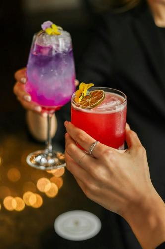 The Shelbourne Autograph Collection - image 4