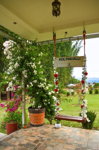 . Koltincalli