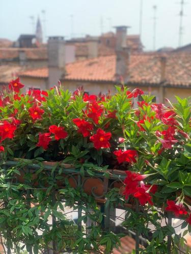 Top Floor Terrace Elegant Apartment 4 min from St Mark s Square No Lift- VHA Collection, Benátky (fotografie 5)