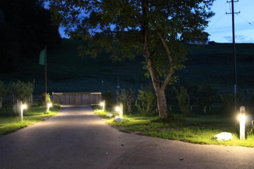 Kert, VILLA SEEBERG - by "Schloss Gessenberg" luxurious vacation home with lake and mountain views, suitab in Waging Am See