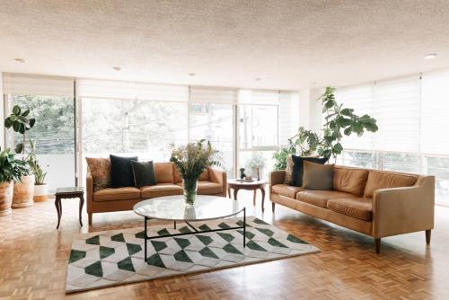 Amazing apartment in Condesa
