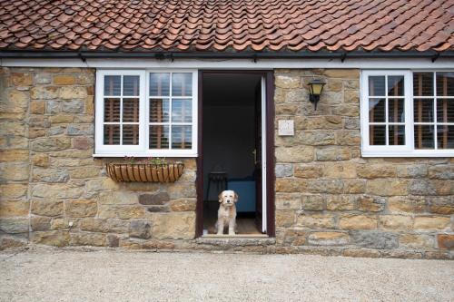 East farm cottages in Scalby