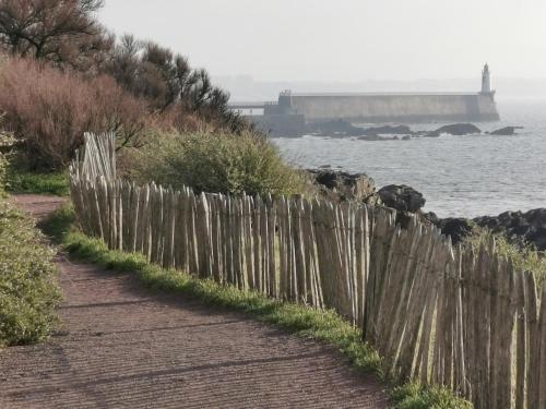 Two-Bedroom Apartment image 6