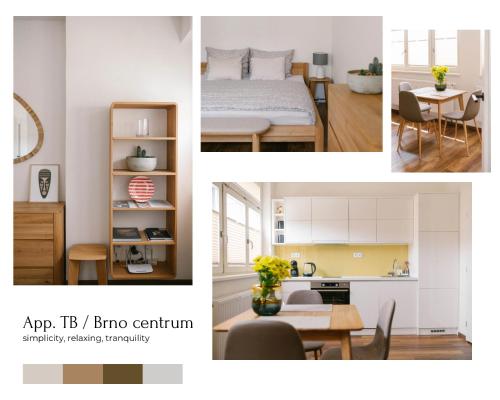 App. TB / Brno centrum, Brno (fotografie 3)
