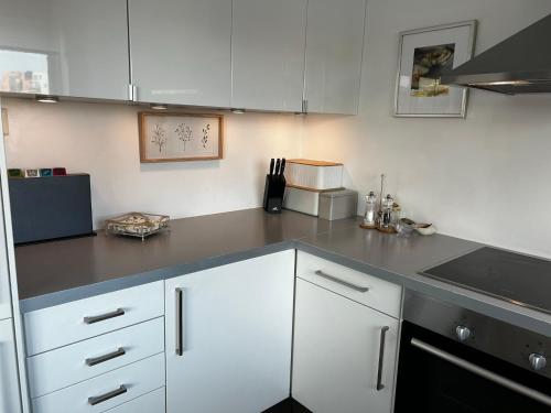 Lade - Aqua Nor 2025 - inntil 7 personer in Uvdal