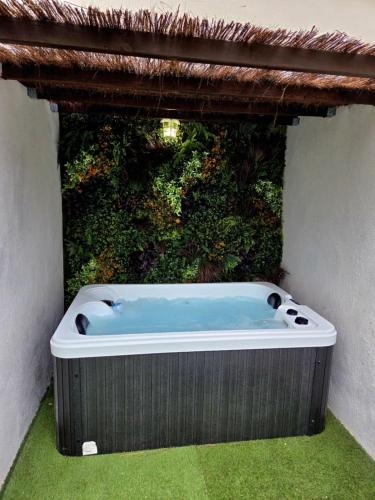 Jacuzzi & Jardin privé - Suite Tropicale - Location saisonnière - Port-Saint-Louis-du-Rhône