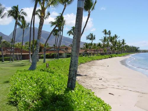 Puamana 80-4 Superior Garden View in Lahaina