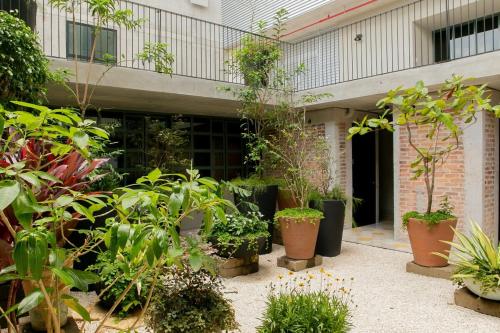 One-Bedroom Apartment image 1