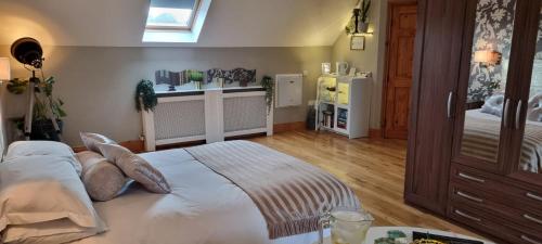 An Ait Chiuin in Mountnugent