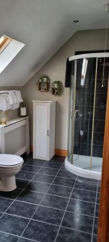 An Ait Chiuin in Mountnugent