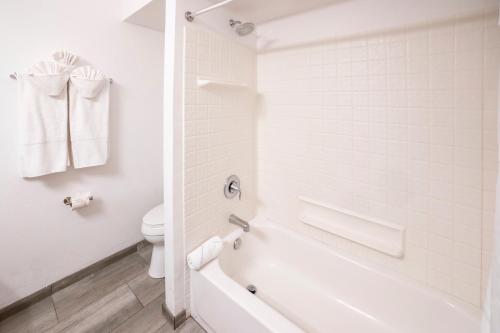 Two-Bedroom Suite image 5