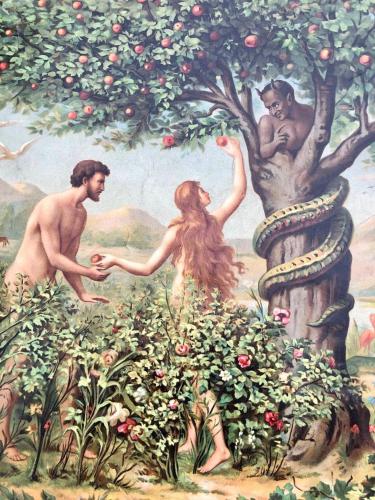 Аpartment in the Garden of Eden, Sveti Vlas (foto 10)