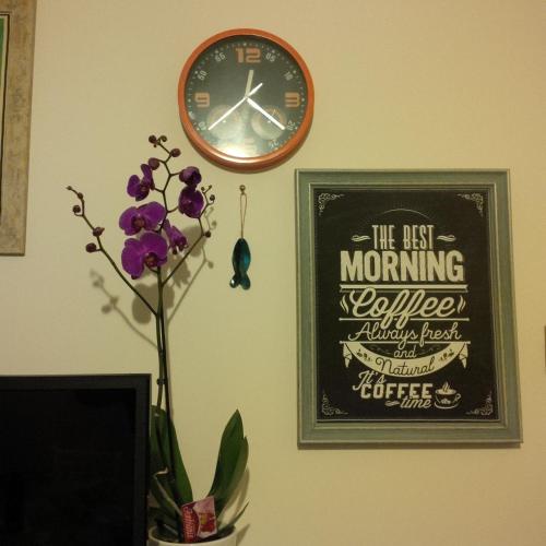 Miky M House B&B - image 11