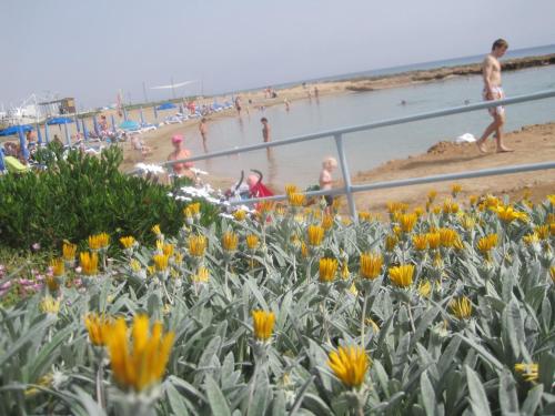 Polyxenia Isaak Luxury Villas and Apartments - image 3