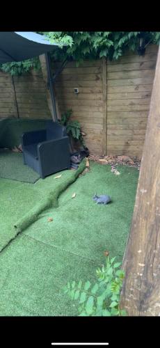 Montpellier : Jolie studio tres calme near Plateau sportif Montpellier Village