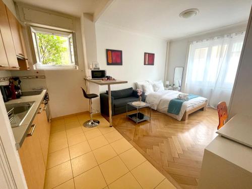 Down Town Studio, Lausanne (fotografie 3)