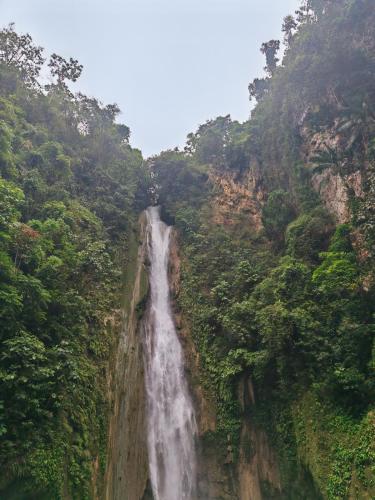 Nature Retreat Mantayupan Waterfalls in Dumanjug