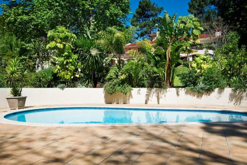 ทัศนียภาพ, โรงแรมเซาธ์เทิร์นไลท์คันทรี่เฮ้าส์ (Southern Light Country House) near สวนพฤกศาสตร์แห่งชาติคีร์สเตนบอสช์