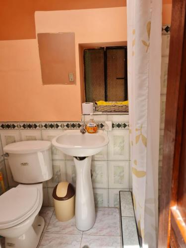 Mini departamento amoblado