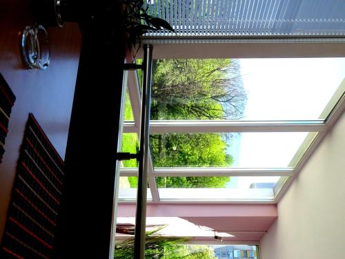 Family Hotel Dalis - image 3