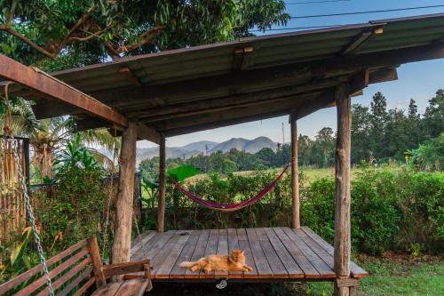 Garden, Mango House Studio -Pai in Mae Na Toeng