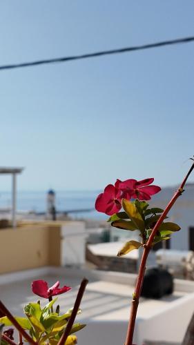 Diana, Ermoupoli (foto 7)