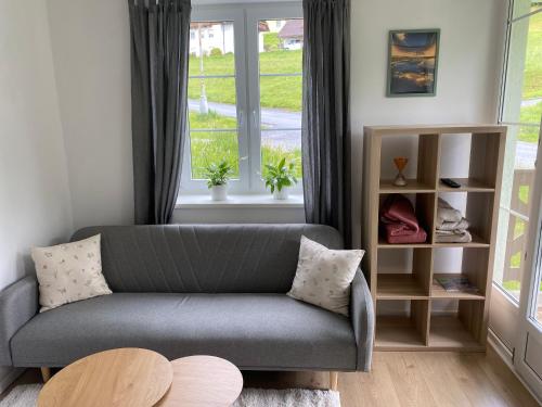 Apartmán Na Manhattanu (Apartman Na Manhattanu) in Rokytnice nad Jizerou