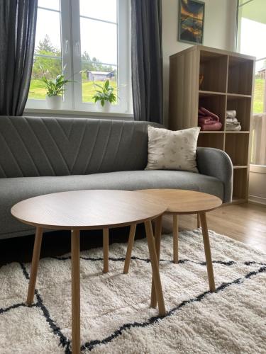 Apartmán Na Manhattanu (Apartman Na Manhattanu) in Rokytnice nad Jizerou