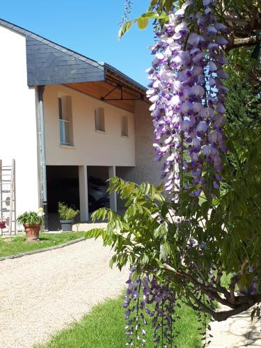 Gite Amanala Poitou, Vienne