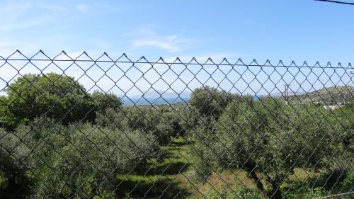 Haus in Privatgrundstück bei Amaniou, Kos-Stadt (Foto 5)