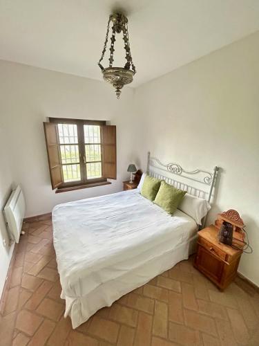 Hispalis Villa de Sanlúcar, Sevilla (fotografie 4)