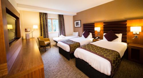 Drayton Manor Hotel - image 6